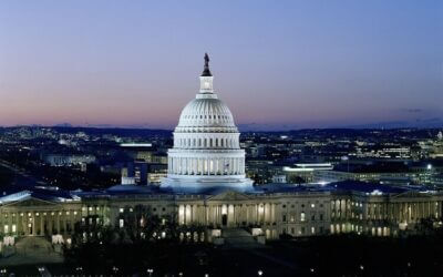 Politics in Social Life and Dating Life….can you survive the next 6 months?