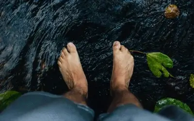 Why Cold Plunge & Contrast Therapy are Wellness Game-Changers? How Life Coaching Can be Used Wisely