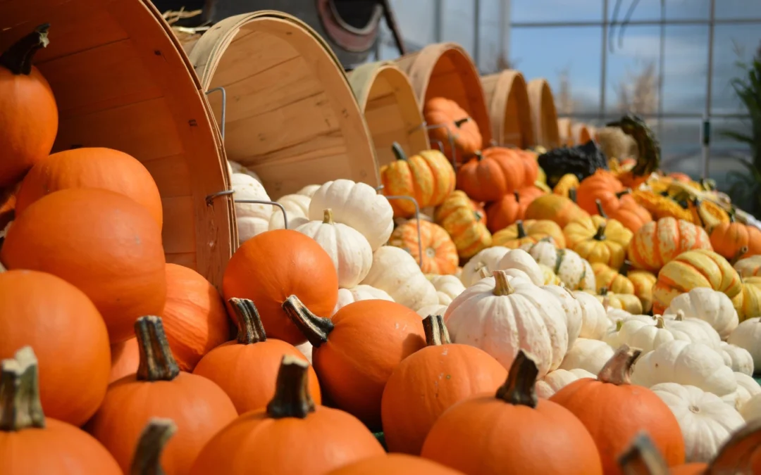 Preparing for Thanksgiving With Intention: A Life Coach’s Guide to Protecting Your Peace, Energy & Mindset